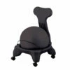 Discount - Champion 15 Lb FitPro Ball Chair