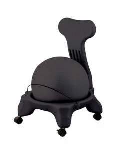Discount - Champion 15 Lb FitPro Ball Chair