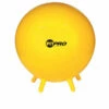 Discount - Champion 65 Cm FitPro Balls with Stability Legs