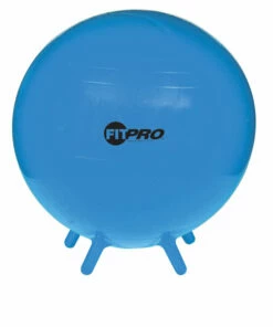 Discount - Champion 53 Cm FitPro Balls with Stability Legs