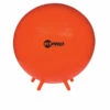 Discount - Champion 75 Cm FitPro Balls with Stability Legs
