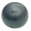 Discount - Champion 95 Cm Fitpro Brt Training & Exercise Ball