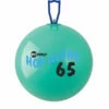 Discount - Champion 65 Cm Fitpro Hop Along Ball