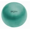 Discount - Champion 75 Cm Fitpro Brt Training & Exercise Ball