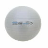 Discount - Champion 53 Cm Pro Maxafe Training Exercise Ball