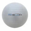 Discount - Champion 65 Cm Pro Maxafe Training Exercise Ball