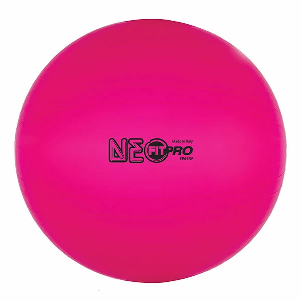 Discount - Champion 65 Cm Fitpro Training & Exercise Ball Neon Pink 1 Discount - Champion 65 Cm Fitpro Training & Exercise Ball Neon Pink