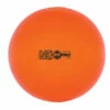 Discount - Champion 65 Cm Fitpro Training & Exercise Ball Neon Orange