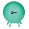 Discount - Champion 42 Cm FitPro Balls with Stability Legs