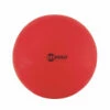Discount - Champion 65 Cm Fitpro Training & Exercise Ball