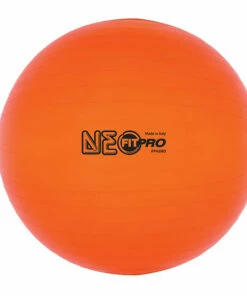 Discount - Champion 42 Cm Fitpro Training & Exercise Ball Neon Orange