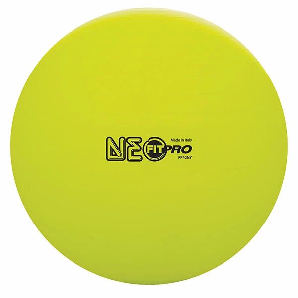 Discount - Champion 42 Cm Fitpro Training & Exercise Ball Yellow 1 Discount - Champion 42 Cm Fitpro Training & Exercise Ball Yellow