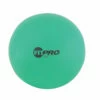 Discount - Champion 42 Cm Fitpro Training & Exercise Ball Green