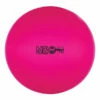Discount - Champion 42 Cm Fitpro Training & Exercise Ball Neon Pink