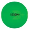 Discount - Champion 42 Cm Fitpro Training & Exercise Ball